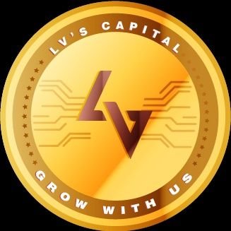 LV's Capital Profile