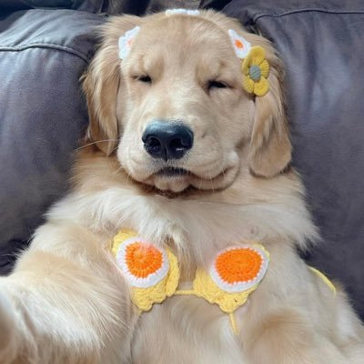 vampsybee's profile picture. MISS KO NA KAYO @thevampsband 🥹🫶🏻