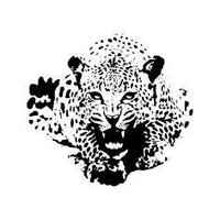 MayaJaguar 2.O (@a82966215) Twitter profile photo