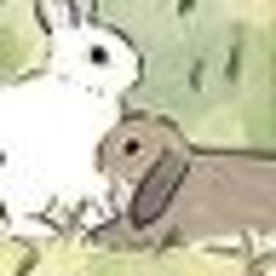 Amber Floresさんのプロフィール画像