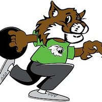 Harrison Bowling (@hhsbowlingteam) 's Twitter Profile