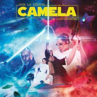 ๐๐ง๐๐จ ๐๐๐ฆ๐๐ฅ๐ (@infocamela) 's Twitter Profile