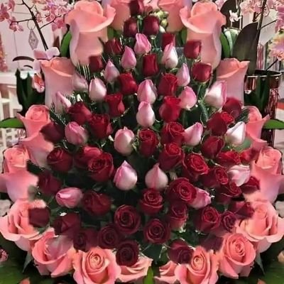 MrMdAlamgir7's profile picture. 