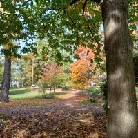 Connymoys (@connymoys) 's Twitter Profile