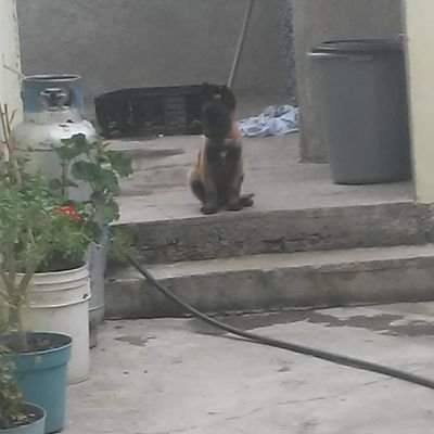 MaryAvi77's profile picture. 😁