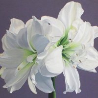 CathySavelsArt (@cathysavels_art) 's Twitter Profile