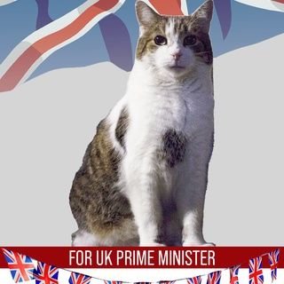 Mike559464871's profile picture. 