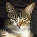 Katie Nichols (@katieni20319656) Twitter profile photo Katie Nichols (@katieni20319656) Twitter profile photo