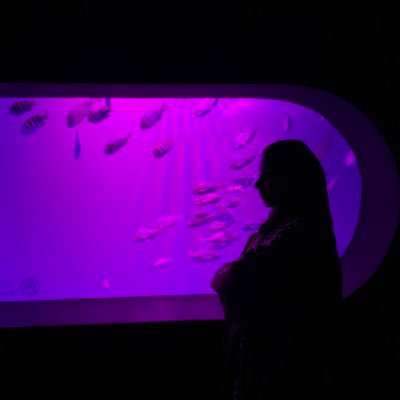 QAbas411's profile picture. ‏‏‏‏‏‏‏‏‏‏‏‏‏أشبهُ الغَيم، لكننِي أَبعد 💎
قبس وفي سيني هُدى. ⭐
قبس للحياة وللأمل🌻🍃. 
-منصة قبس للتدقيق اللغوي👇









🇴🇲⁦🇵🇸⁩وطناي⁦♥️⁩