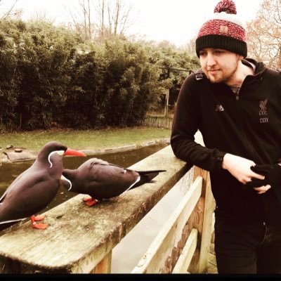 Gleneth93's profile picture. University of Salford MSc and BSc graduate, now a PhD student at the UoS investigating the impacts of drone noise on bird behaviour. #LFC