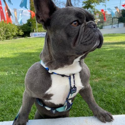 Kademakbulut1's profile picture. 