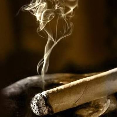 ahMEdshahriar55's profile picture. যদি ভালো হতে চাও তবে
 সর্ব প্রথম তুমি মিথ্যা বলা ছেড়ে দাও।
...হযরত মুহাম্মদ (সাঃ)