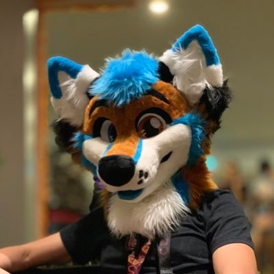 🦊 zorrito 🇲🇽 ingenioso y creativo , amante de eventos , conectar personas y hacer streams de videojuegos 👾