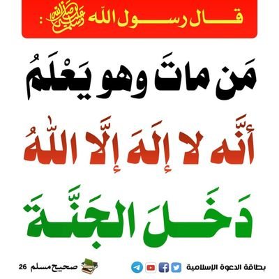 rabiououmar3's profile picture. 