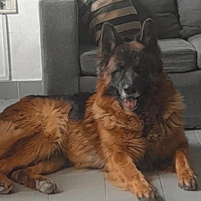 Orlando46840776's profile picture. O.E.A