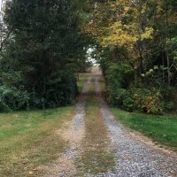Amelia Krales (@holowaty) 's Twitter Profile