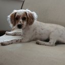 Martin Dewar - @MartinDewar10 - Twitter