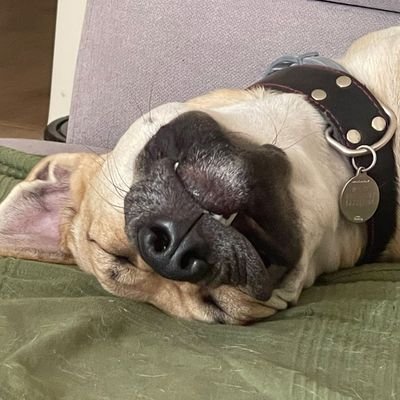 lharop's profile picture. Si te puedo trollear, lo haré (Nerea, sé que te encanta :3)