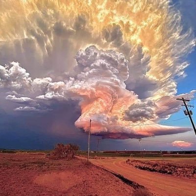 El bosc seguia morint, i els arbres seguien votant la destral. Ella era intel·ligent, els havia convençut que per tenir el mànec de fusta, era un d'ells