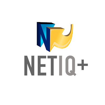 NetsolutionIq's profile picture. 