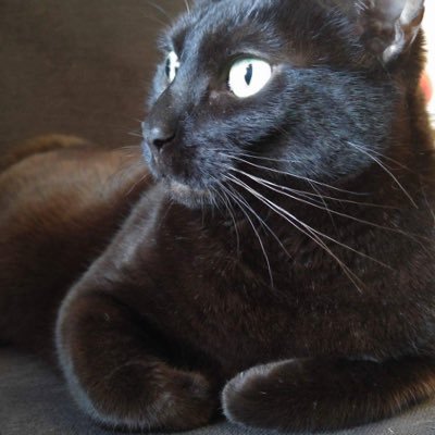 Pompulainen's profile picture. 