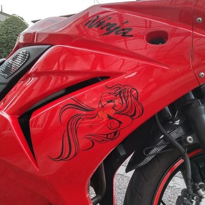 2022.秋リターンライダーでこっちの世界に戻ってきました。Ninja250Rと電動トライクtokotokoAceオーナー♪若かりし頃、ZEPHYRχとNinjaZX6Rに乗ってました♪黒猫くん2匹と茶トラ1匹に同居させてもらってまーす♪