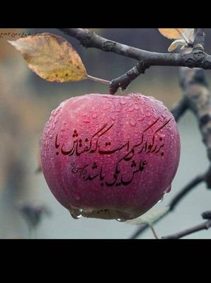 mrd75742357's profile picture. 