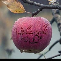دربند (@mrd75742357) 's Twitter Profile Photo دربند (@mrd75742357) 's Twitter Profile Photo