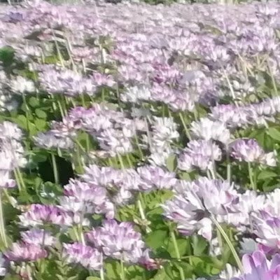 0UfqewYNWQhu30y's profile picture. 