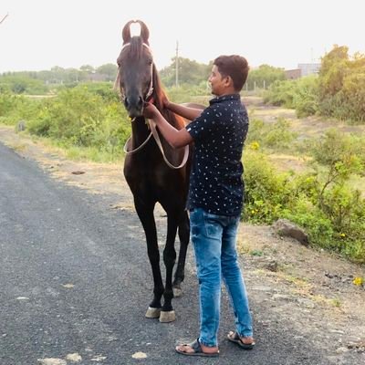 Baldevsinh_Jdpr's profile picture. ✌️Dreamer, 🌱Farmer, 🐎Rider, 💪 Stubborn क्षत्रिय 🚩झाला नू जोधपर 🚩