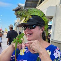 Laurie Hunt 🦀 (@laurvoted4biden) 's Twitter Profile