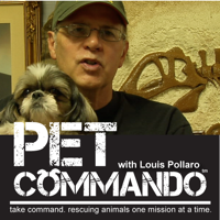 Official twitter page of the Pet Commando reality show with Louis Pollaro. Louis and his dog Yoshi rescue lost and abandoned pets... one mission at a time.