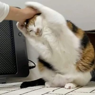googoogagaさんのプロフィール画像