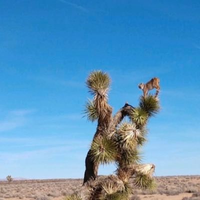 sbcac55's profile picture. 