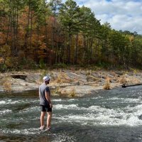 Steve Hall (@stevejhall) 's Twitter Profile
