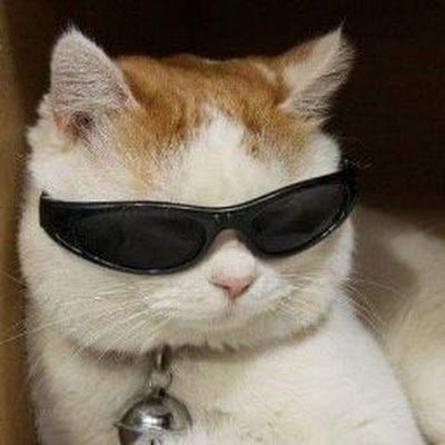 CinthyaRamosVa1's profile picture. 
