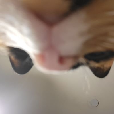 maddyさんのプロフィール画像