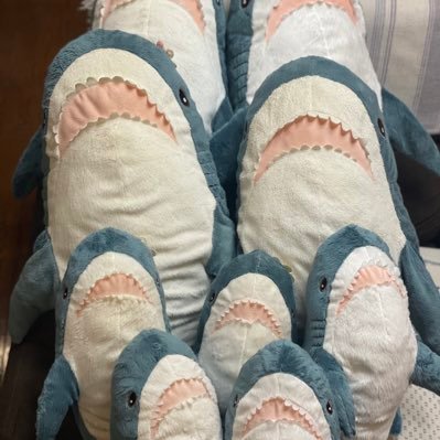 IKEAのサメの男の子、さめとんだよ 🦈ぼくと仲間達のさめの日常なのね！主にInstagramでやってて、Xも始めてみたのね。基本ひっそりとやってるなの。無言フォロー、フォロバ許してなのね🦈 #IKEAのサメ #ぬいどり #さめとん #ぬいぐるみじゃありません家族です #ぬい撮り