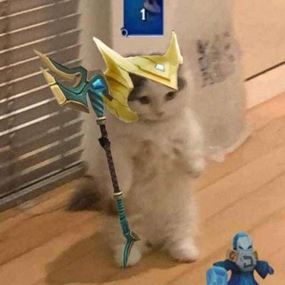 DanielPopule's profile picture. popl27,
Wild rift enthusiast,
 czech ADC, 
ex-best adc cz/sk (now retired)