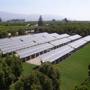 Peter Muzzy - @petermuzzy - Twitter