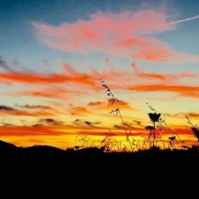 betty48337261's profile picture. Una guerrera mas en este olimpo😅