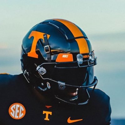 asianvolfan's profile picture. Consensus 3⭐️ fan. I’m here for Vol Twitter
