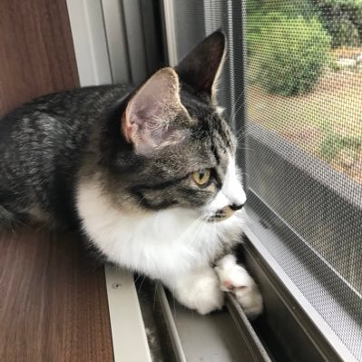 genshin0213's profile picture. 面白い事あったら教えてください！