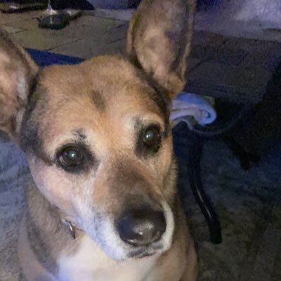 StrauelStyle's profile picture. Personal Trainer | dont/care