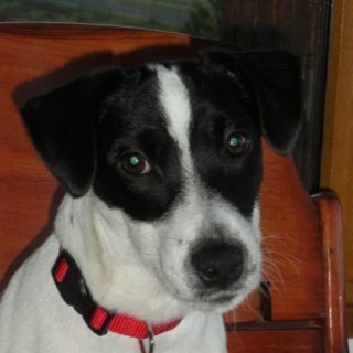 Laird_moran's profile picture. Scottish runner and mountain-biker, drinker and general merryman!