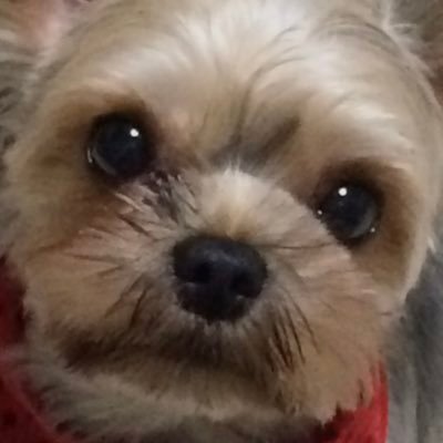 低浮上中🇯🇵いわぽん💫2nd🇯🇵🇹🇼加油!保守は中道であるべき、日本を保守政治に‼️さんのプロフィール画像