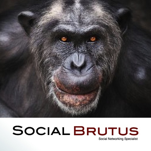 socialbrutus's profile picture. We are an Internet Marketing firm that specializes in Social Media.
