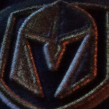 Rabid VGK fan