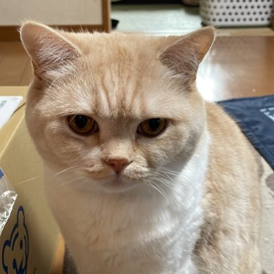 l3sJx7Endc6UhJT's profile picture. 