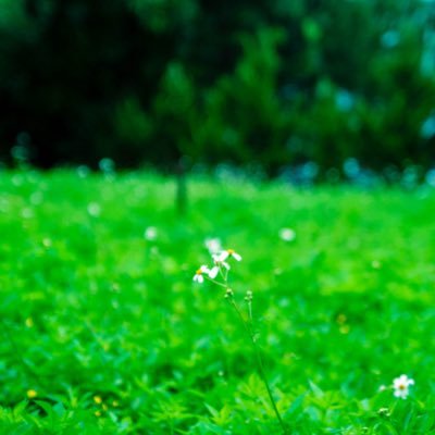 Nguyen18Ngoc's profile picture. 